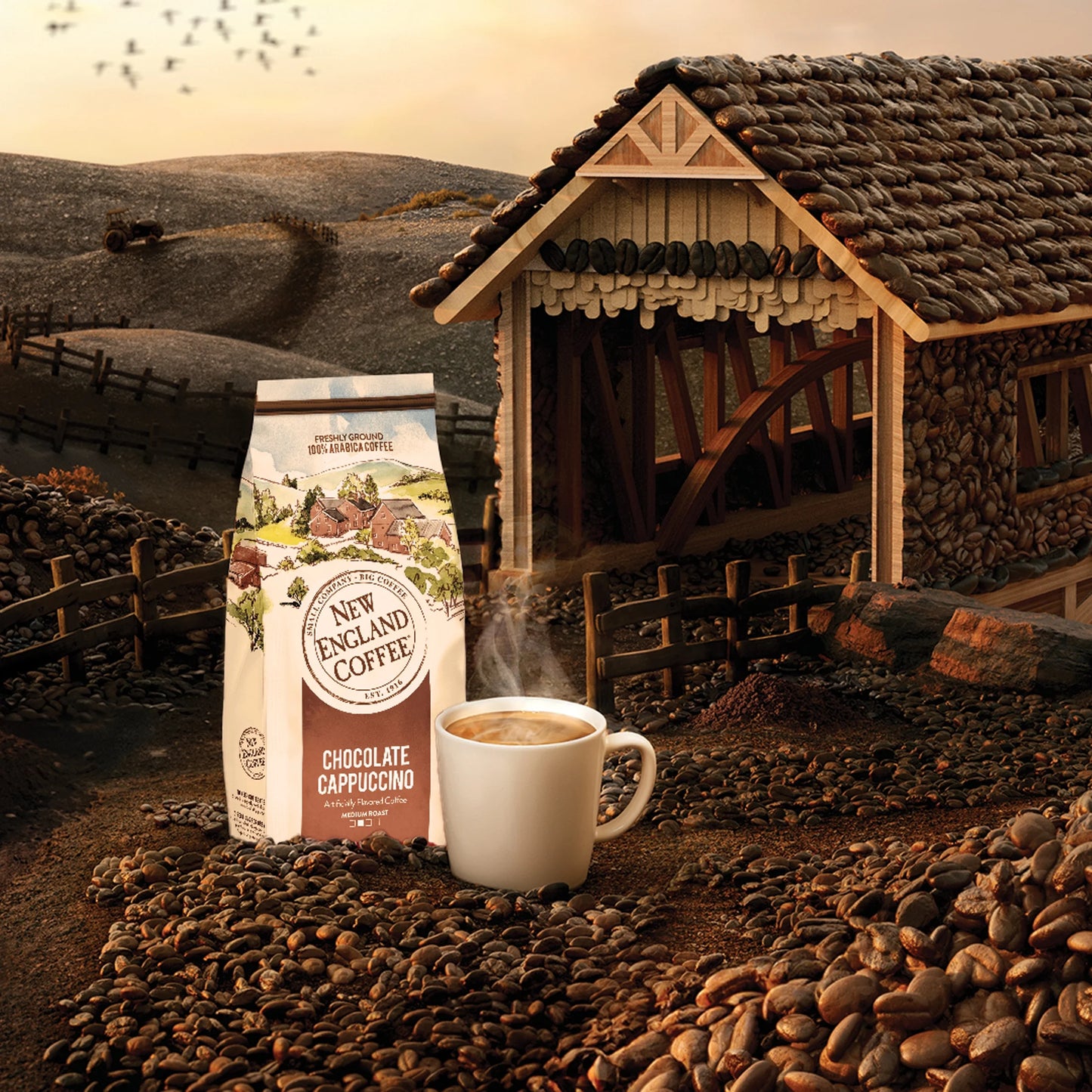 (4 Pack) Chocolate Cappuccino, Medium Roast, Ground Coffee, 11 Oz